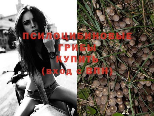 Альфа ПВП Михайловка