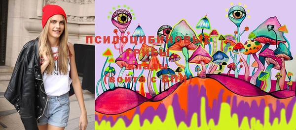 прущая мука Михайловск