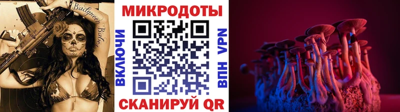 Псилоцибиновые грибы Cubensis  Шенкурск 