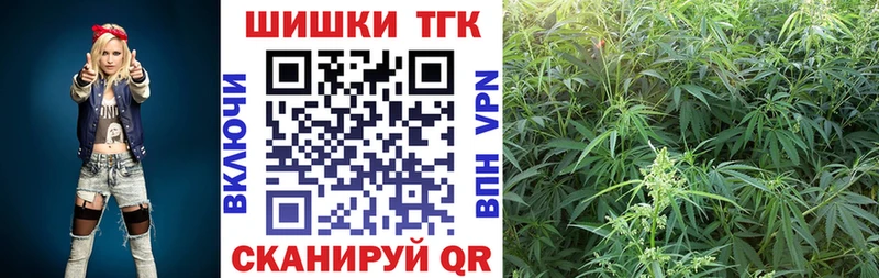 Конопля планчик  купить наркотики цена  Шенкурск 